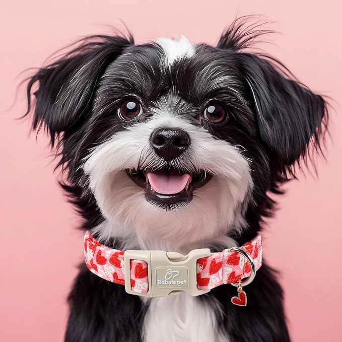 Valentines Dog Collar for Small Dogs - Cute Pink Girl Dog Collar, Doodle Heart Pattern, Adjustable Valentine Dog Collars with Red Heart Charm S