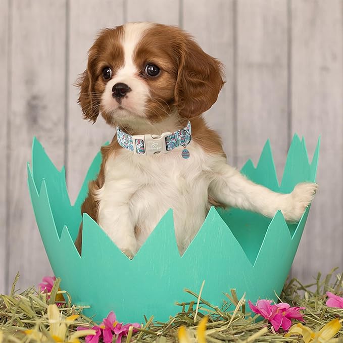 Easter Dog Collar for Large Dogs - Blue Sleepy Bunny Egg Easter Collars for Boy Girl Dogs, Adjustable Spring Holiday Pet Collars with Quick Release Buckle L