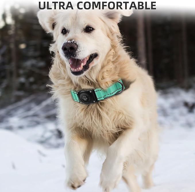 Airtag Dog Collar - 100% Waterproof Air tag Dog Collar Holder for Apple AirTag, Reflective, Soft Padded, Everlasting, GPS Dog Collar for Small Medium Large Dogs (Teal, L)