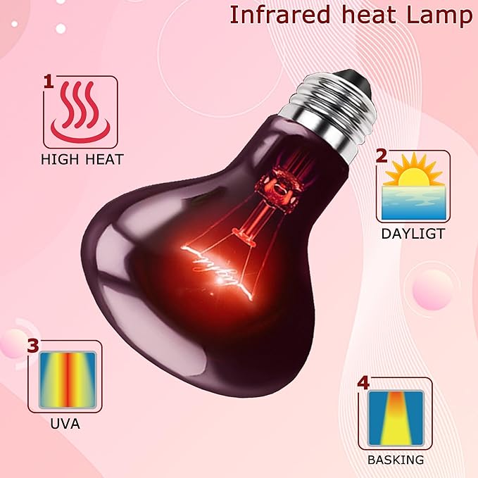 75W Infrared Red Basking Spot Light Bulb – Promotes Growth & Vitality, Heat Lamp for Reptiles & Amphibians, Bearded Dragons, Turtles, Snakes & Chicks, Terrarium & Brooder Heater