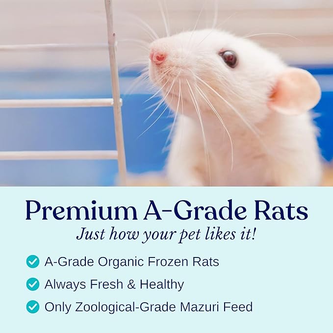 MiceDirect Frozen Large Adult Feeder Mice Food for Adult Ball Pythons Juvenile Red Tale Boa Monitors Lizards 40 Ounce (50 Count)
