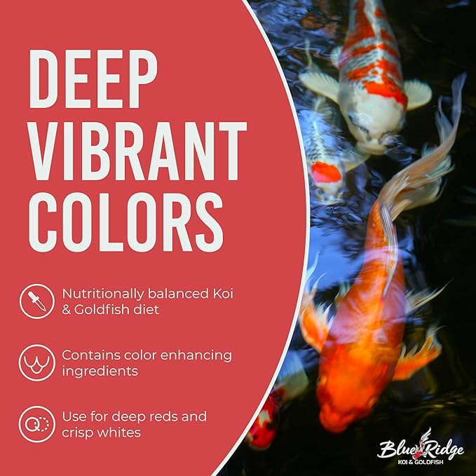 Blue Ridge Koi Fish Food 50lb - Cool Water Wheat 3/16", Fall and Winter Floating Pond Pellets, Ponds Fish Food