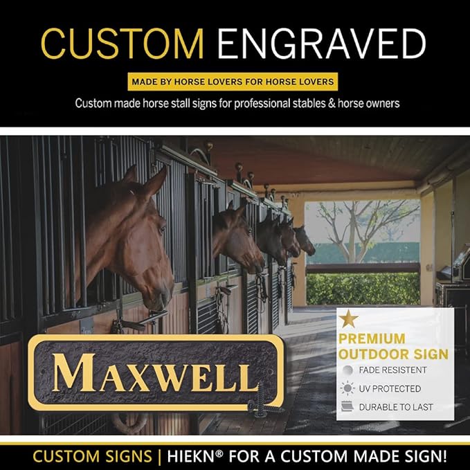 Acrylic Horse Stall Name Plate, 2.4" x 8" Personalized Stall Signs, UV Protected, Custom Pet Name Sign, All Weather Adhesive, Mounting (Gold, Style 3)