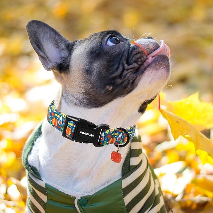 DOGWONG Fall Pumpkin Dog Collar, Fall Maple Leaf Dog Collars Adjustable Halloween Pumpkin Dog Collars for Small Medium Large Dogs XS