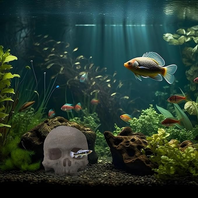 Resin Reptile Hideout for Tank Realistic Skull Decor for Terrarium White Decorative Skeleton Head Hides and Caves for Fish Ball Python Axolotl Tarantula