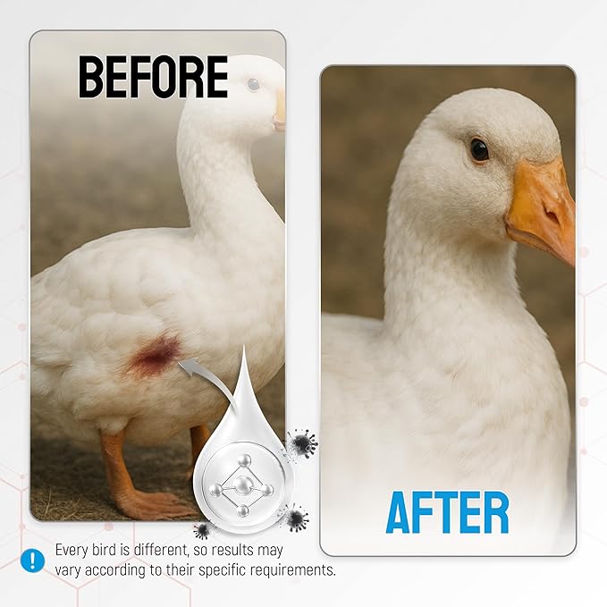 SILVER GRADE Wound Spray for Chicken from Birds & Chicken Antibiotics Alternative to Help with Pecking Sores, Bumblefoot, Cuts – Poultry Spray with Silver – GMOs Free – 4-Oz Bottle