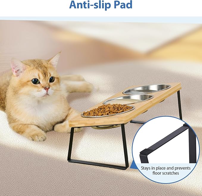Elevated Cat Bowls, 15° Tilted Raised Cat Food and Water Bowl, Anti-Vomit & Whisker-Friendly Design, 3 Stainless Steel Bowls for Cats and Small Dogs