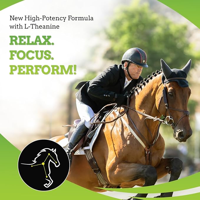 SynChill AF Calming Gel for Nervous Horses - Single Serving - Advanced Formula with L-Theanine, Increased Potency, 100% Natural Supplement, Disposition & Confidence Support for Horses - 10 Pack
