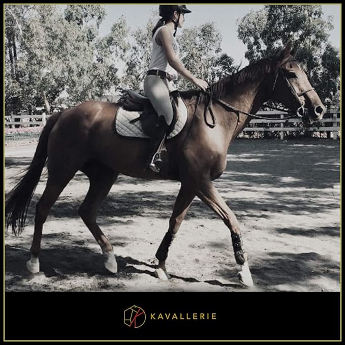 Kavallerie Classic Tendon Boots, Impact-Absorbing Material, Breathable & Evenly Distribute Pressure, Protect Tendon and Ligaments, Anti-Slip, Anti- Sore and Moisture Repellant Show Jumping Boots