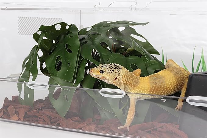 Reptile Plants for Terrarium, Ball Python Tank Decor Accessories fit Bearded Dragon Crested Leopard Gecko Lizard Chameleon Snake Frog Tortoise Hermit Crab - Fake Swiss Cheese Plants