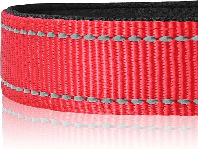 Joytale Reflective Dog Collar, Soft Neoprene Padded, Metal D-Ring, Nylon Pet Collar Adjustable for Small Dogs, Red, S