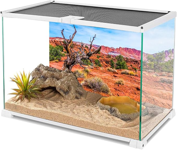 AWERT 48x18 inches Reptile Habitat Background Blue Sky Oasis Orange Desert Terrarium Background Durable Polyester Background