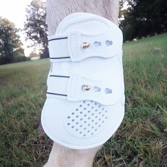 Jeffers Equine English Ankle Boots Large – Premium Horse Leg Protection, Ventilated Neoprene, Adjustable & Comfortable Support, Lightweight & Durable for Training, Jumping & Riding – White (Pair)