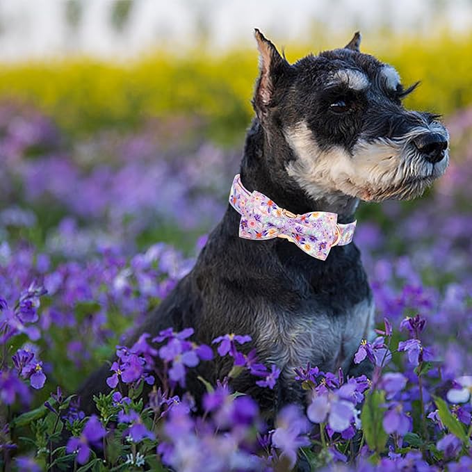 Elegant little tail Dog Collar, Rose Print Pet Collar Summer Dog Collar Durable Metal Buckle Dog Collars Cotton Pet Adjustable Dog Collars for Large Dogs