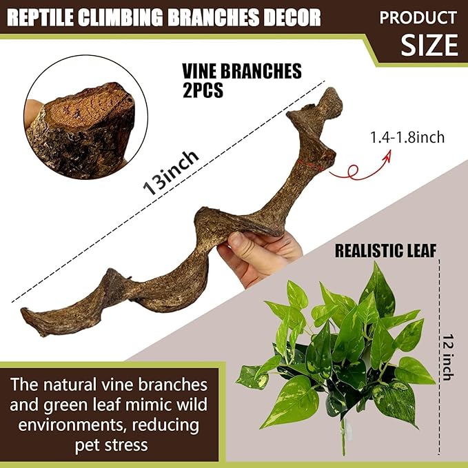 BNOSDM 2Pcs Natural Reptile Climbing Branches Decor,1.3-1.8" Thick Natural Snake Climbing Forest Wood with Plant Leaf Decor,Lizard Forest Branch,Geckos Tank Tree Trunk Accessories for Bearded Dragons