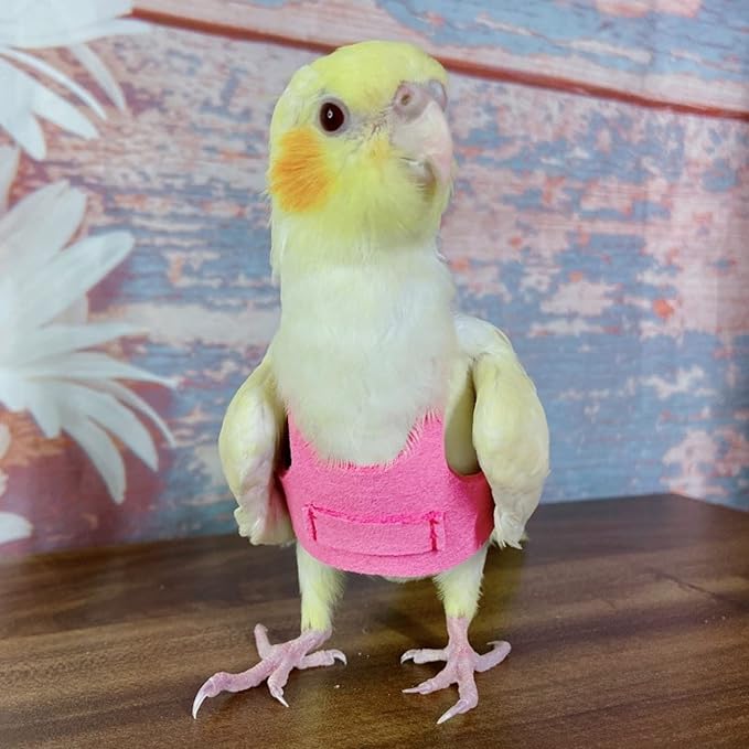 Bird Flight Harness Vest, Parrot Flight Suit with Leash for Parakeets Cockatiels Conures Budgies, Bird Flying Clothes with Rope and Handle for Outdoor Activities Training (M, Pink)