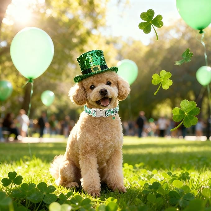 St Patricks Day Dog Collar for Puppy Small Dogs - Leopard Lucky Clover Dog Collars, Lightweight Adjustable Irish Green Festival Shamrock Dogs Collars with Quick Release Buckle XS