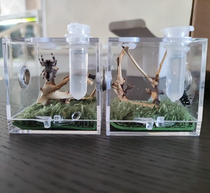Spider Terrarium, Acrylic Reptile Breeding Box Jumping Spider Enclosure with Dropper Tongs Snail cage, Cricket Enclosure arboreal Tarantula Habitat