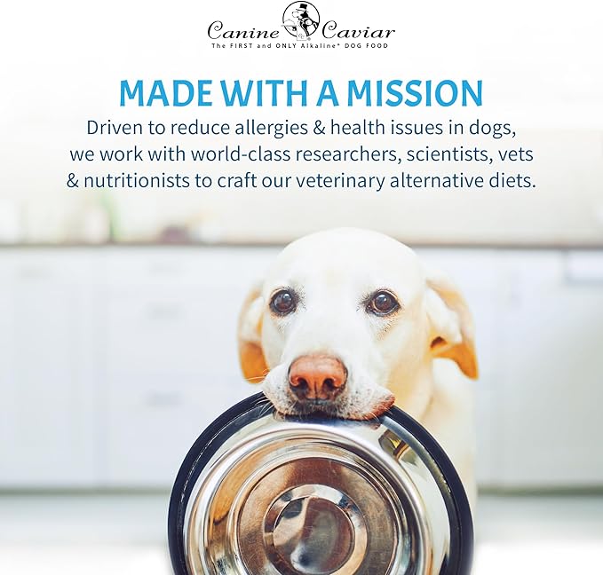 Canine Caviar - Free Spirit: Chicken & Pearl Millet Alkaline Dry Dog Food, Limited Ingredients, Gluten-Free, Based on Science & Research, Veterinary Alternative Diet (4.4 Pound Bag)