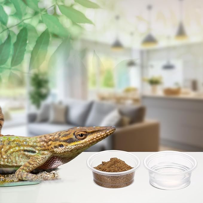 Maxcheck 1000 Pcs 0.5 oz Gecko Feeding Cups Small Gecko Food and Water Cups Reptile Feeding Bowls Plastic Bearded Dragon Food Bowl for Lizard Small Pet Ledge Accessories (Transparent)
