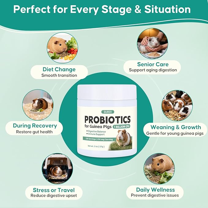 Probiotics for Guinea Pigs, All-Natural Digestive Support Powder, Easy to Mix Daily Gut Health Supplement for Guinea Pig, Helps with Soft Stool, Stress, Diet Change, 1 Billion CFU, 228 Servings