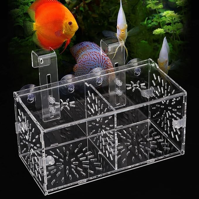 Acrylic Transparent Fish Tank, Breeding Isolation Box Aquarium Hatchery Incubator Holder with Screw Reinforcement, Convenient Use Comes with Isolation Board for Fish Breeding