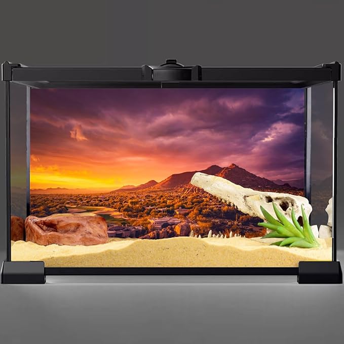 AWERT 24x12 inches Sun and Desert Terrarium Background Mountain Oasis Gobi Reptile Habitat Background Vinyl