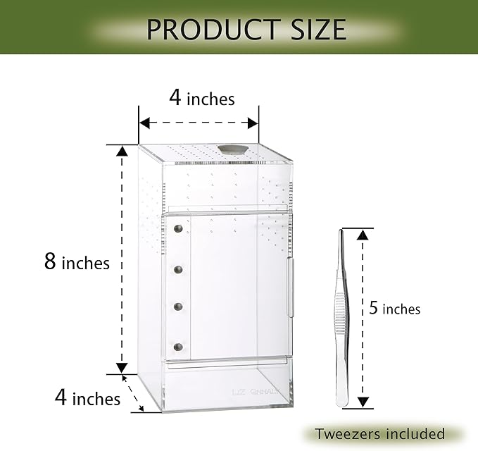 Acrylic Terrarium for Reptiles & Spiders – Small/Medium/Large Leak-Proof Enclosure (Horizontal/Vertical) | Ideal for Tarantulas, Jumping Spiders, Frogs & Geckos(Small Vertical)