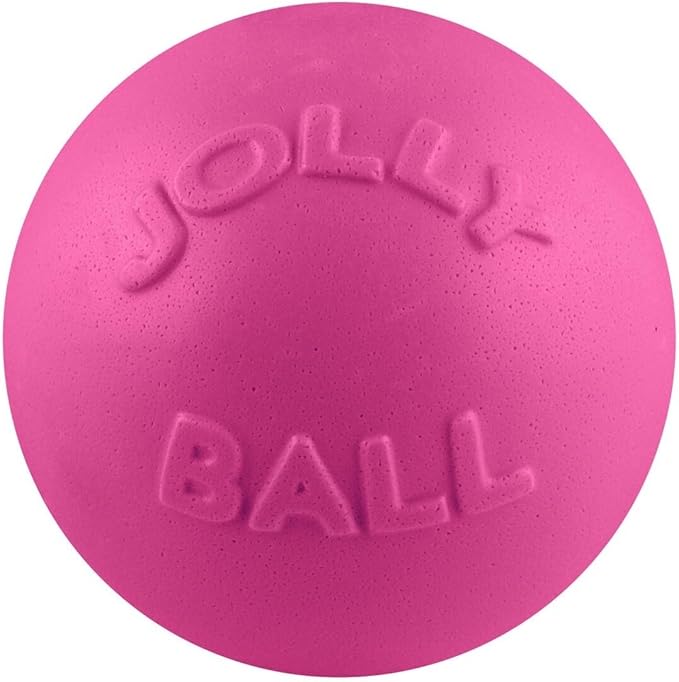 Jolly Pets Bounce-n-Play Dog Toy Ball, 8 Inches/Large, Blueberry, (Model: 2508 BB)