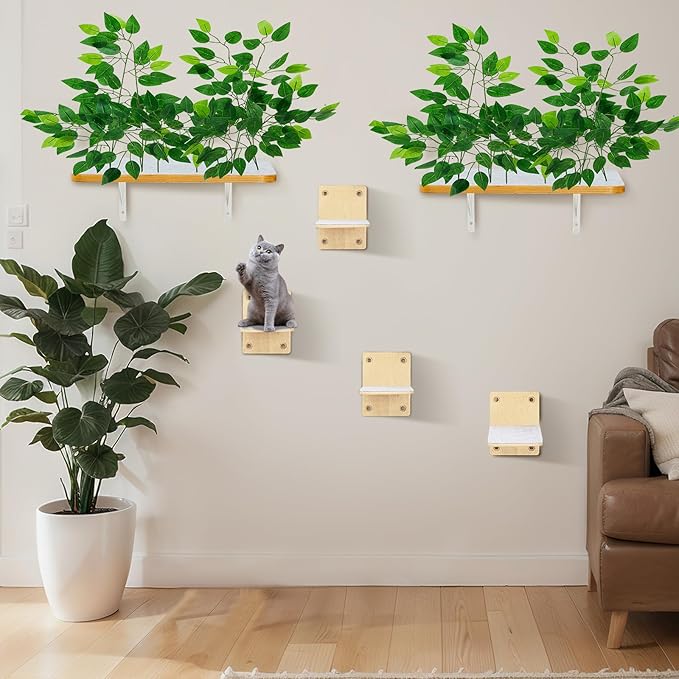 Cat Wall Shelves with 4 Steps and Perches - Cat Wall Furniture for Cats and Kittens - Indoor Climbing, Scratching and Relaxing Playground