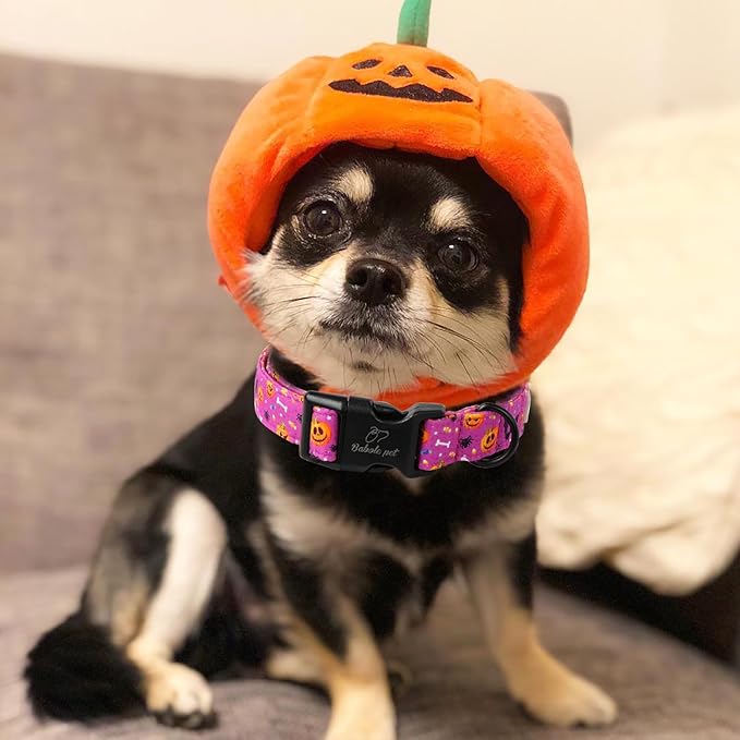 Halloween Dog Collar, Cute Pumpkin Bat Pattern Halloween Purple Puppy Collar, Soft Adjustable Cotton Dog Collars for Small Medium Large Boy&Girl Dogs XS