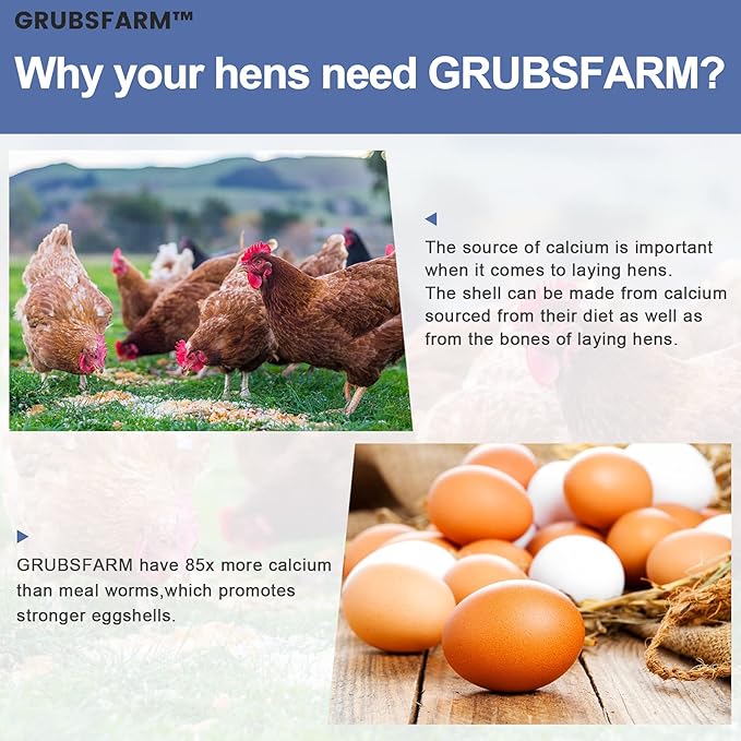 Premium Chicken Treats 5LB - Non-GMO & 85X More Calcium Than Meal Worms - Molting & Laying Supplement - BSF Larvae Treats for Layer Hens, Ducks Wild Birds