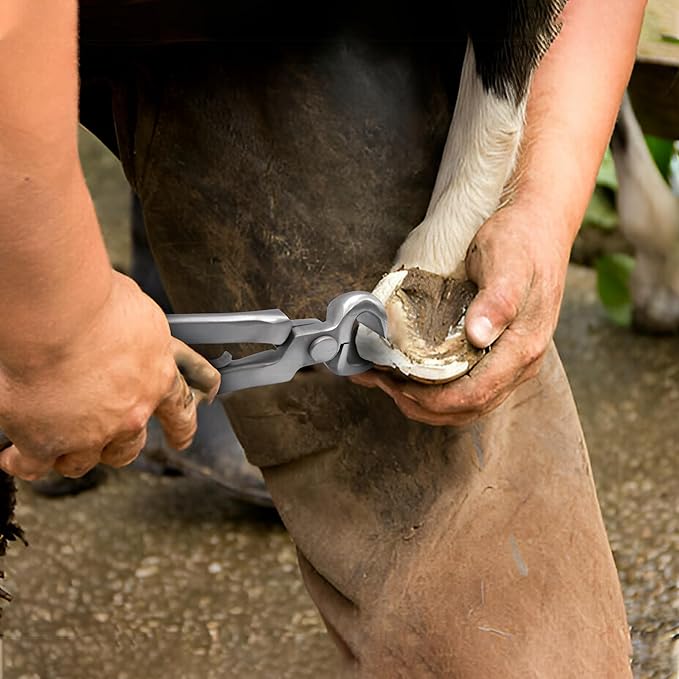 Equine Care Spring-Loaded Hoof Nippers – Chrome Vanadium Steel Farrier Tools | 10″ & 12″ Hoof Trimmers with Ergonomic Grip for Foals, Ponies, Miniature Horses, Donkeys, Goats & Livestock (10 inch)