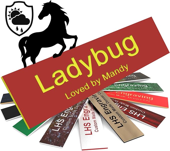 Horse Stall Name Plate, 2x12 Personalized Stall Signs, UV Protected, All Weather Adhesive, Hanging, Mounting or Other, Red Plastic Yellow Letters - Made in USA - B22