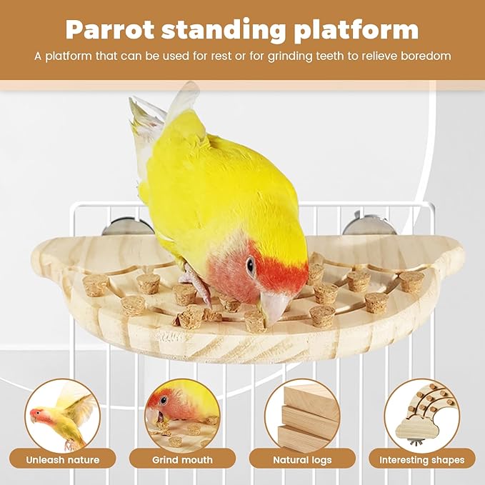 Bird Chew Toy with Screw Mount – Wooden Foraging Toy for Parrots, Cockatiels, Small to Medium Birds, Secure Cage Attachment, Safe and Durable Design (Rainbow-Corner)