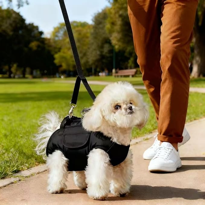 Portable Small Dog & Cat Pet Carrier Sling & Backpack for Small Dogs & Cats & Puppy, Dog & Pet Purse Bag Carrier Sling for Small Dogs with Dog Traction Leash, Crossbody Sling Carriers (Beige M)