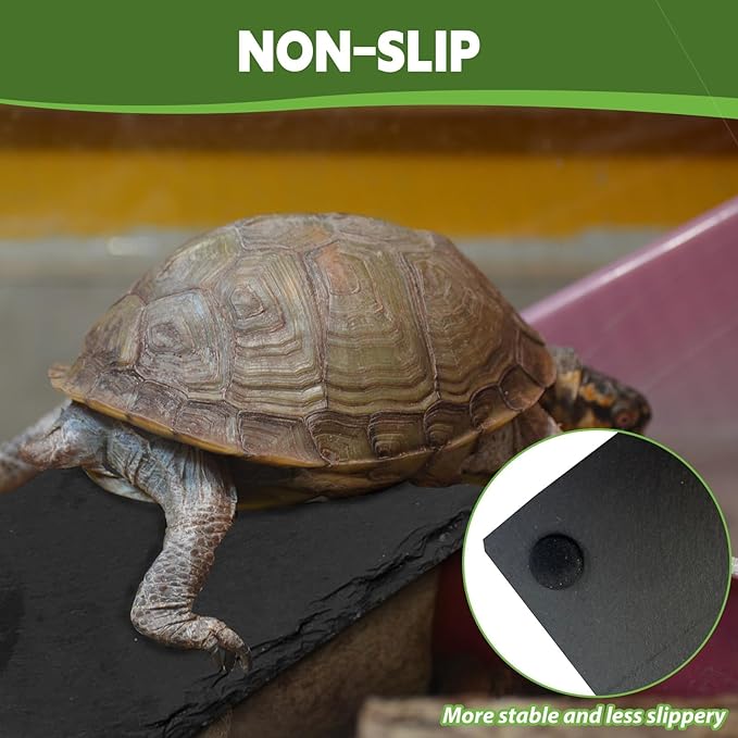 kathson 2 PCS Reptile Basking Platform (15.7 x 11.8 inches), Natural Rock Plate Turtle Food Bowl Feeding Dish Resting Terrace Habitat Decor for Tortoise Turtle Lizard Bearded Dragon Crested Gecko