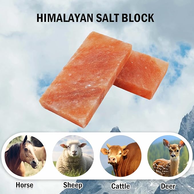 kathson Himalayan Salt Block for Horses,8x4x1 Inches Deer Salt Lick Brick Animal Salt Rock with Natural Vital Minerals for Deer Cattle Sheep Goats Livestock (1 Pcs)