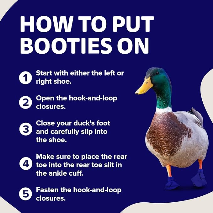 Duck Shoes for Injured Feet – Protective Neoprene Footwear for Ducks, Protective Shoes for Birds with Injured feet, Bumblefoot Relief - Small, 2.5’’ Max. Inside Width - Royal Blue