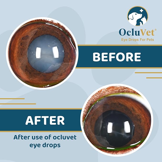 Eye Drops for Pets | Clinically Studied Antioxidants for Pets with Cataracts | Made in The USA | Includes 2% N-Acetyl-L-Carnosine (NAC) | 16mL