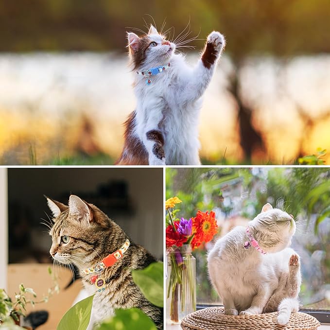 SCENEREAL Breakaway Cat Collar with Bells, 3 Pack Spring Pink Cats Collars with Safety Buckle, Soft Adjustable Cute Kitten Puppy Personalised Summer Collars for Dogs Girl Boy