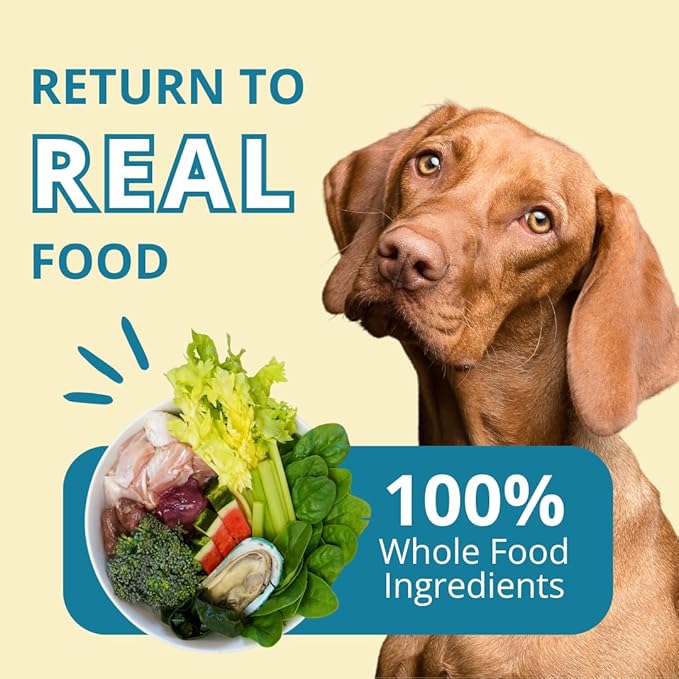 Steve's Real Food Freeze-Dried Raw Nuggets - Turkey Recipe - Raw Pet Food for Dogs and Cats - 20 oz