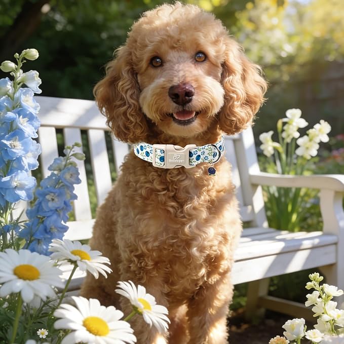 Spring/Summer Dog Collar for Small Dogs - Fresh Blueberry Girl Boy Dog Collars, Soft Lightweight Puppy Collar, Breathable Adjustable Male Female Fruit Floral Dogs Collars S