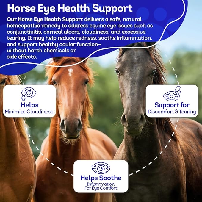 HA4E - Horse Eye Health Support - Maintains Normal Mineral Levels for Healthy Eyes - Highly Effective, Natural Homeopathic Supplement - 300 Tablets