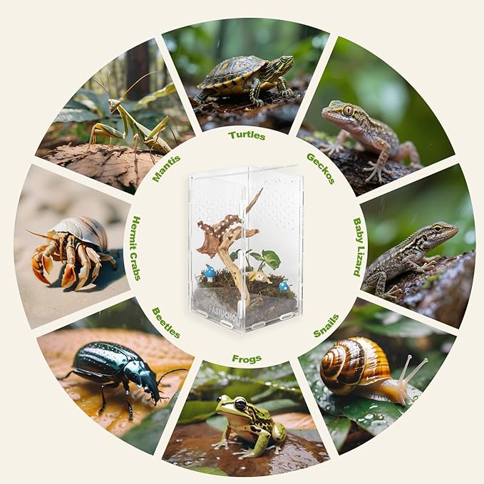 Small Acrylic Terrarium 4.7x4.7x7.8 inch, Transparent Reptile Enclosure Habitat with Ventilation, Mini Tank for Small Hermit Crab, Juvenile Gecko, Baby Lizard, Praying Mantis, Critters, Bugs & Insects