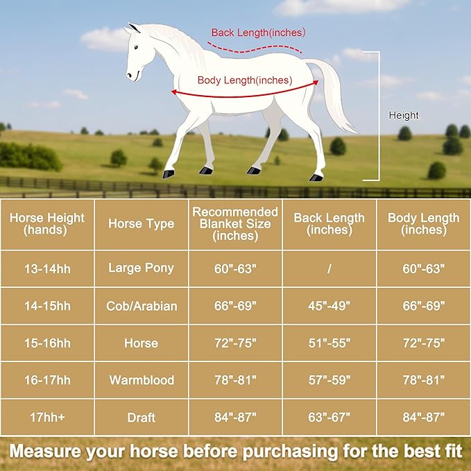 Horse Fleece Cooler, Blanket Liner - 300g Anti-Pilling Fleece, Moisture-Wicking, Cooling & Drying for Post-Workout, Bath & Travel, Prevent Overheating & Chilling Mintgreen 78