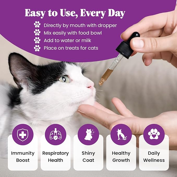 Special Breed L-Lysine for Cats & Kittens – Immune, Respiratory & Eye Health Support – Liquid Cat Supplement with Astragalus, Burdock, Atractylodes, Dangshen & Vitamins A, B1, B2, B6 – 2oz (60mL)