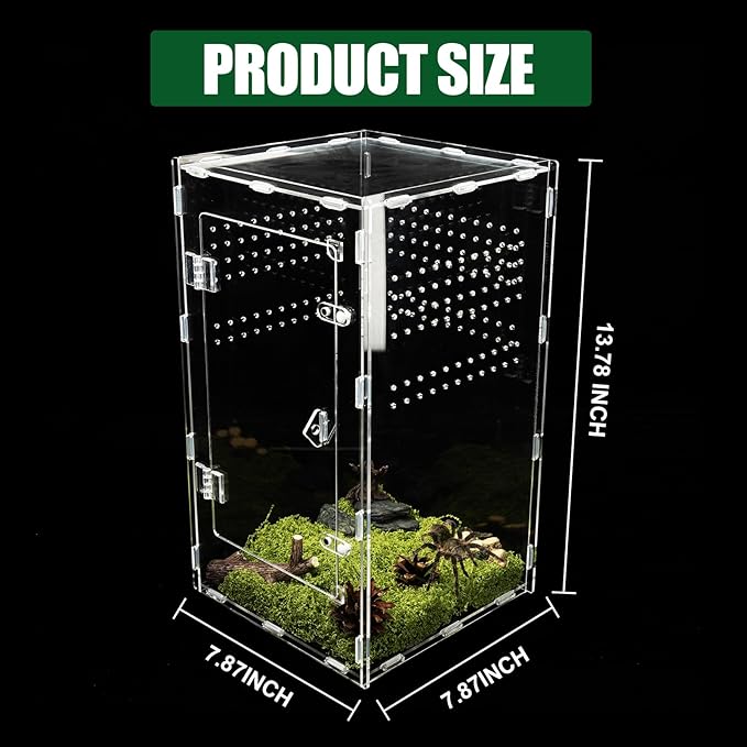 Acrylic Jumping Spider Enclosure, Transparent Reptile Terrarium Enclosure, Small Reptiles Habitat Tank Breeding Box for Tarantula Insect Snake Lizard (13.78 Large)