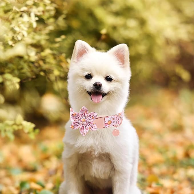 Halloween Dog Collar With Flower, Pink Puppy Collar With Adjustable Metal Buckle, Fancy Bowtie Gift for Girl Boy Dog, M