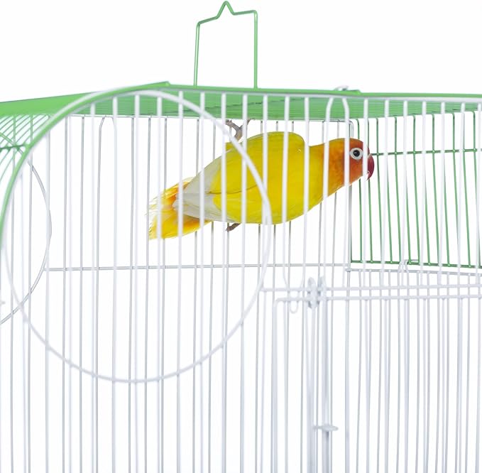 Prevue Pet Products South Beach Flat Top Bird Cage, Lime Green (SP50091),14 1/8" L x 11 1/4" W x 18 1/8" H